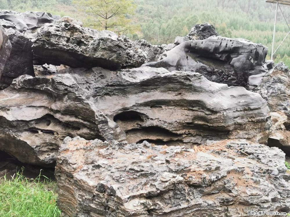 风景石、假山石大量有货，有需要的欢迎联系 - 新手上路 - 天津生活社区 - 天津28生活网 tj.28life.net