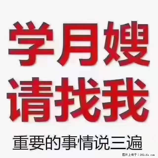 为什么要学习月嫂，育婴师？ - 其他广告 - 广告专区 - 天津分类信息 - 天津28生活网 tj.28life.net