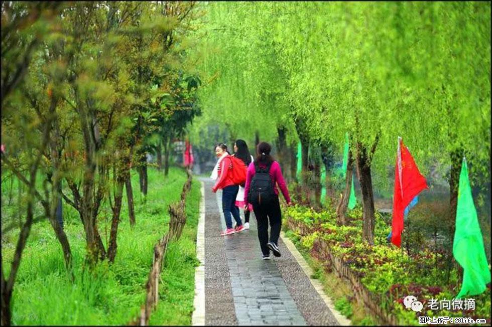 【春天，广西桂林灌阳县向您发出邀请！】江口老街又逢春 - 游山玩水 - 天津生活社区 - 天津28生活网 tj.28life.net