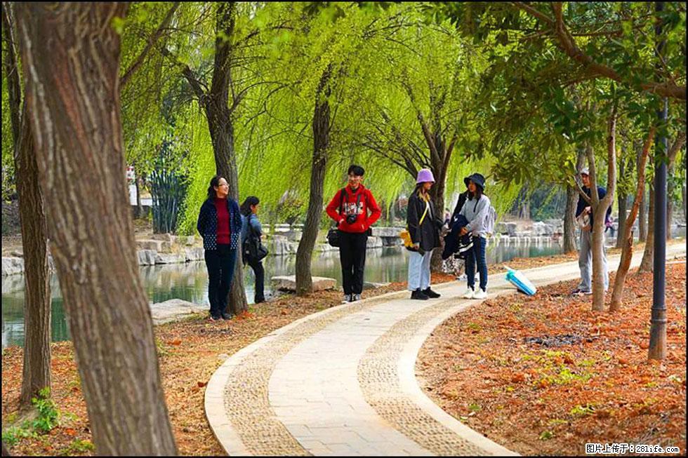 【春天，广西桂林灌阳县向您发出邀请！】江口老街又逢春 - 游山玩水 - 天津生活社区 - 天津28生活网 tj.28life.net