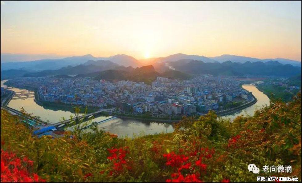 【春天，广西桂林灌阳县向您发出邀请！】登麒麟山，相约映山红 - 游山玩水 - 天津生活社区 - 天津28生活网 tj.28life.net