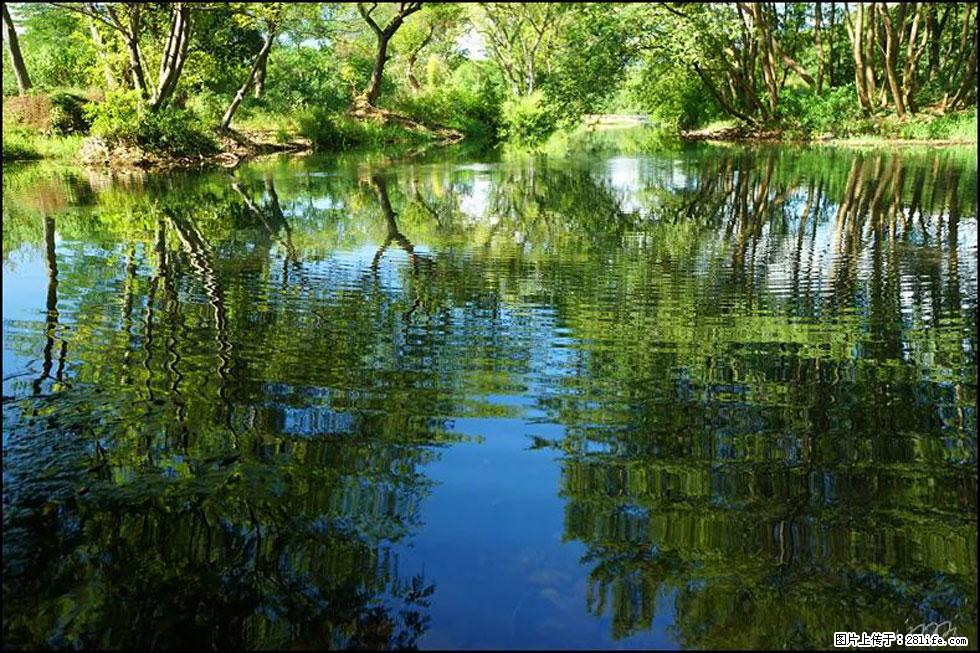 【春天，广西桂林灌阳县向您发出邀请！】熊家寨湿地公园 - 游山玩水 - 天津生活社区 - 天津28生活网 tj.28life.net
