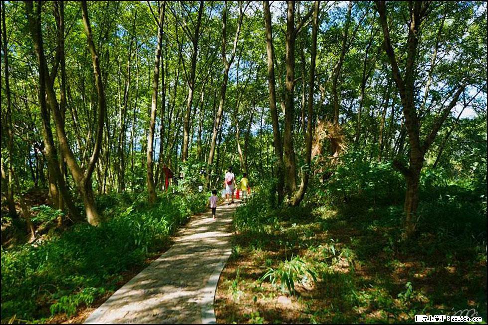【春天，广西桂林灌阳县向您发出邀请！】熊家寨湿地公园 - 游山玩水 - 天津生活社区 - 天津28生活网 tj.28life.net
