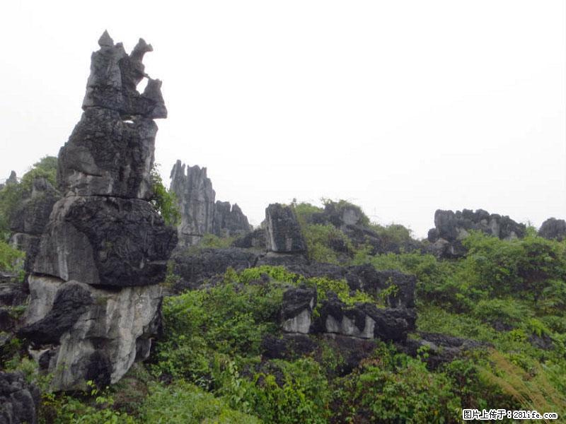 桂林旅游名城景点：灌阳文市石林 - 游山玩水 - 天津生活社区 - 天津28生活网 tj.28life.net