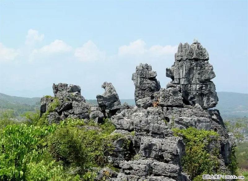 桂林旅游名城景点：灌阳文市石林 - 游山玩水 - 天津生活社区 - 天津28生活网 tj.28life.net