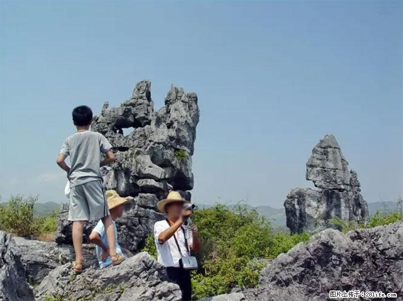 桂林旅游名城景点：灌阳文市石林 - 游山玩水 - 天津生活社区 - 天津28生活网 tj.28life.net