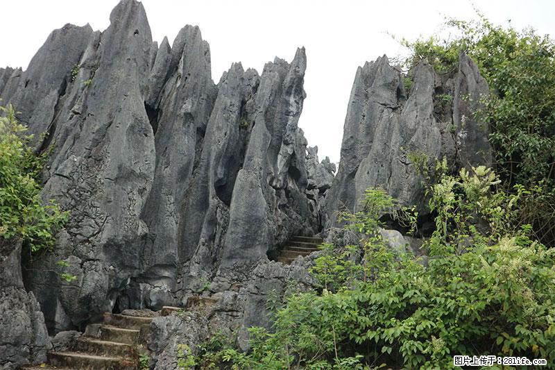 桂林旅游名城景点：灌阳文市石林 - 游山玩水 - 天津生活社区 - 天津28生活网 tj.28life.net