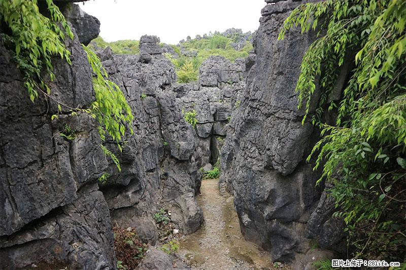 桂林旅游名城景点：灌阳文市石林 - 游山玩水 - 天津生活社区 - 天津28生活网 tj.28life.net
