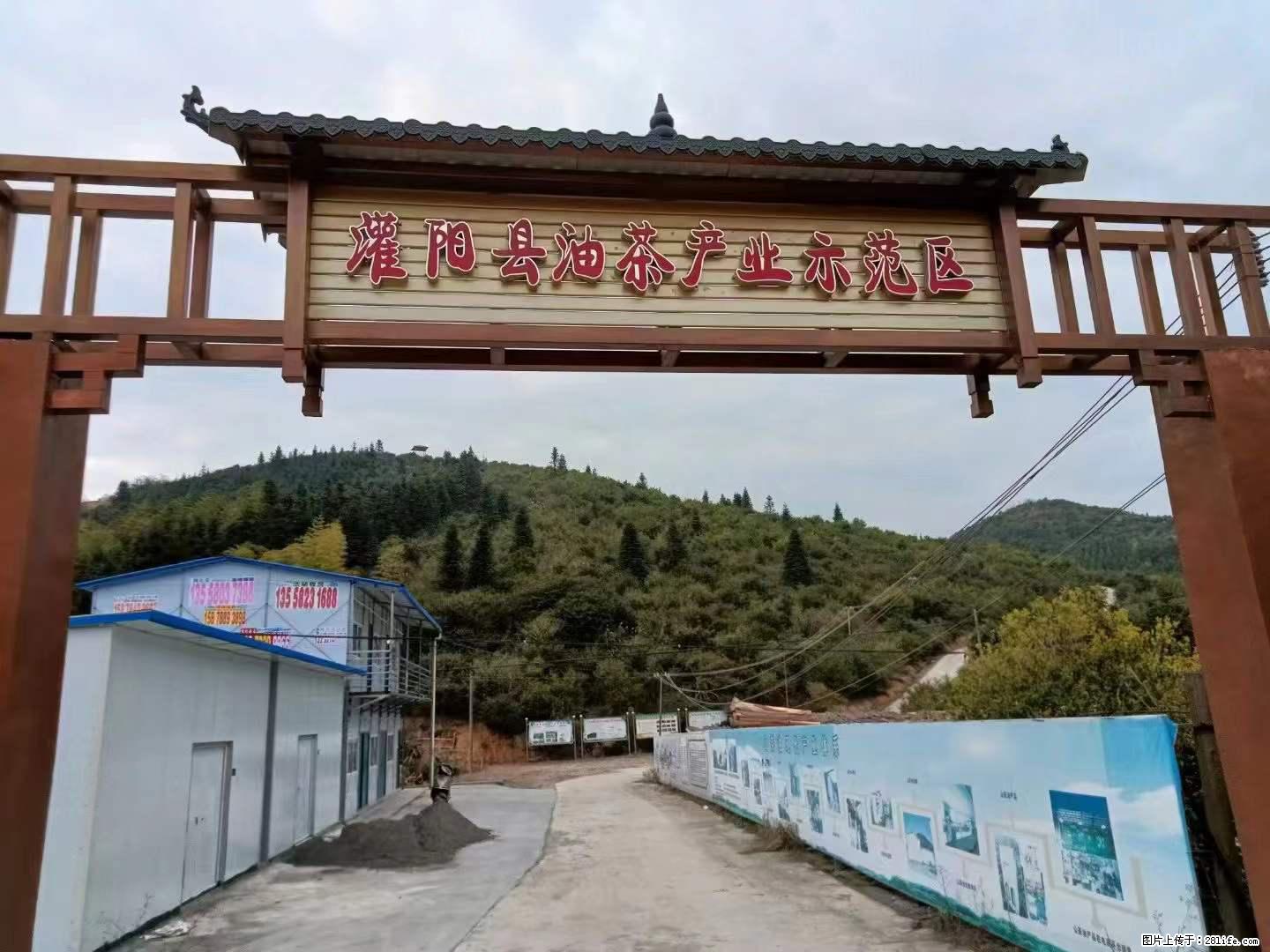 【灌阳县油茶产业示范区】一个有着充实的精神生活的人，对待身外之物自会有一种淡泊的态度 - 美食天地 - 天津生活社区 - 天津28生活网 tj.28life.net
