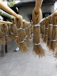 【灌阳正宗红薯粉】美女家里自己做的，干净卫生，假一赔十，价格合理，抢购电话：13737312895 - 天津28生活网 tj.28life.net