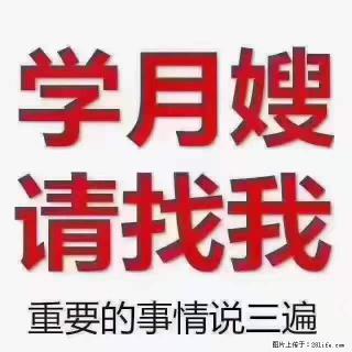 为什么要学习月嫂，育婴师？ - 天津28生活网 tj.28life.net