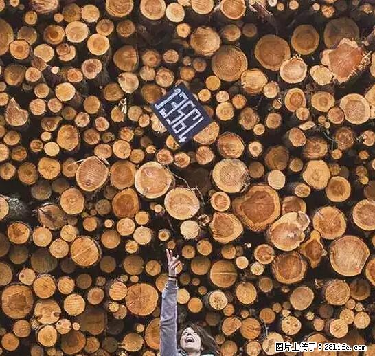 辞掉工作周游世界？现在他们在洗厕所…… - 游山玩水 - 天津生活社区 - 天津28生活网 tj.28life.net