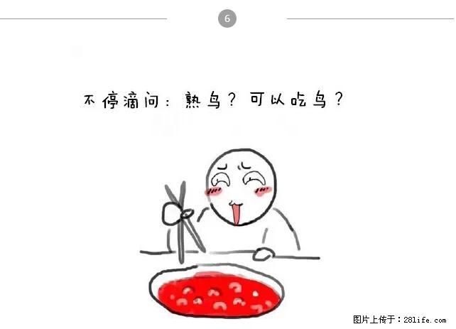 千万不要和这9种哈卵一起吃火锅！ - 美食天地 - 天津生活社区 - 天津28生活网 tj.28life.net