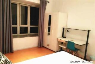 (单间出租)海河金湾公寓 蛋壳公寓直租 返现一千六 高层电梯交通便利 - 天津28生活网 tj.28life.net