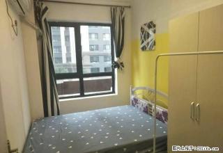 (单间出租)超低的价格你还在等什么？精装修 急租 首月只要100元 - 天津28生活网 tj.28life.net