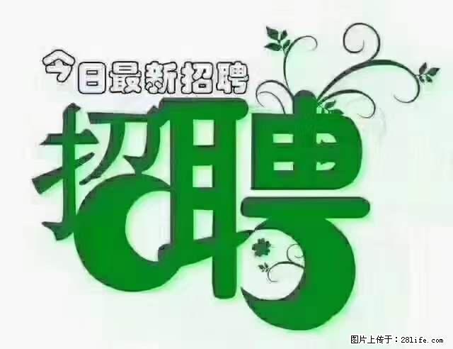 【招聘摄像师】待遇：试用期6000元/月，转正7000元/月+五险一金+餐补+节日福利+奖金 - 职场交流 - 天津生活社区 - 天津28生活网 tj.28life.net