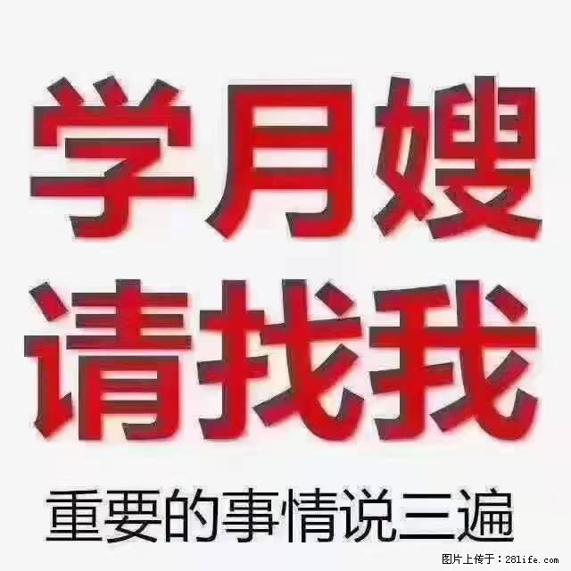 【招聘】月嫂，上海徐汇区 - 职场交流 - 天津生活社区 - 天津28生活网 tj.28life.net