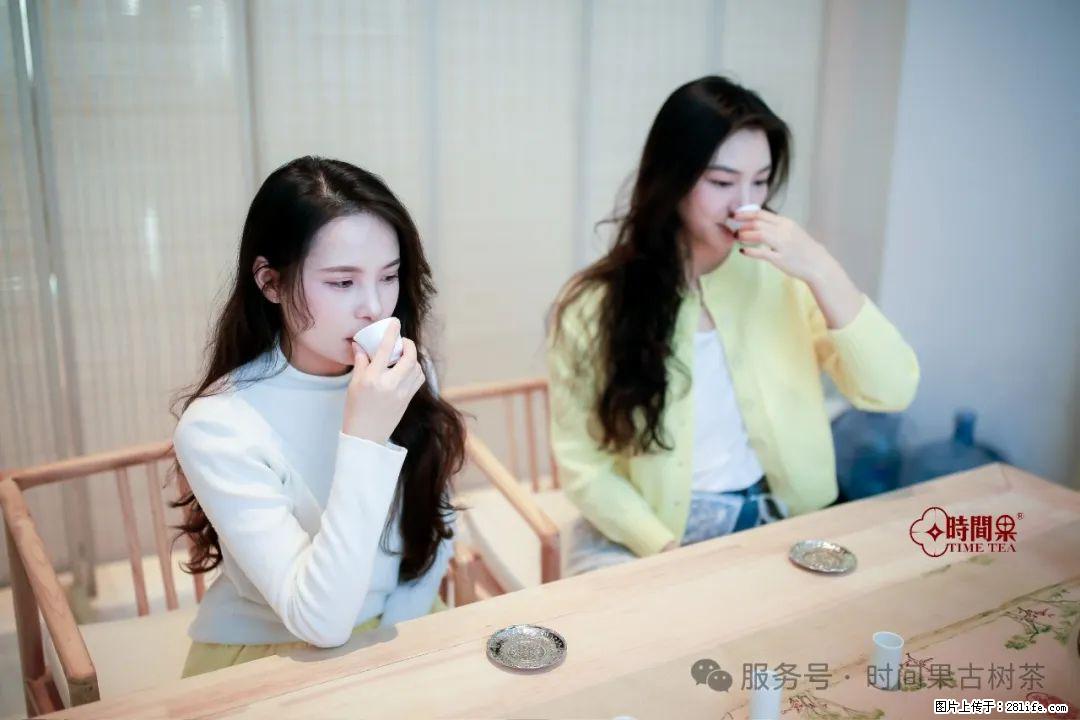 时间果百年古树龙珠普洱生茶 - 购物交流 - 天津生活社区 - 天津28生活网 tj.28life.net