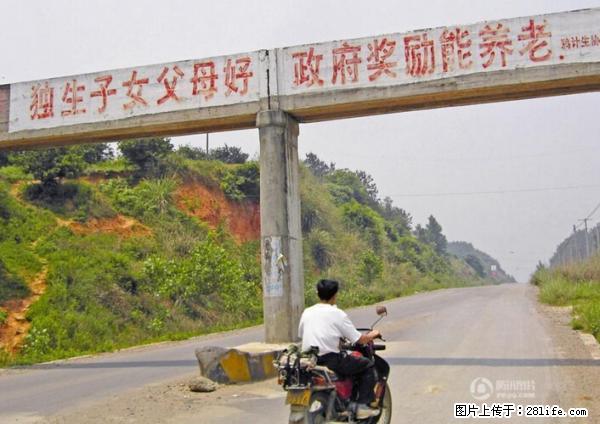 全面两孩政策计划明年元旦起实施 夫妻可延长生育假 - 天津生活资讯 - 天津28生活网 tj.28life.net