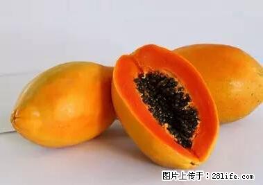 晕车、脚气、牙齿变黄、皮肤粗糙？学会这些三分钟搞定！ - 天津生活资讯 - 天津28生活网 tj.28life.net
