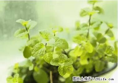 晕车、脚气、牙齿变黄、皮肤粗糙？学会这些三分钟搞定！ - 天津生活资讯 - 天津28生活网 tj.28life.net