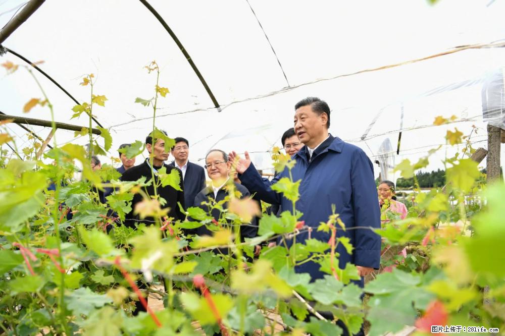 习近平赴广西考察调研 - 天津生活资讯 - 天津28生活网 tj.28life.net