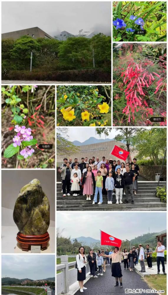 “粤灌文化 美好生活”油茶文化主题活动在广东深圳成功举办 - 天津生活资讯 - 天津28生活网 tj.28life.net