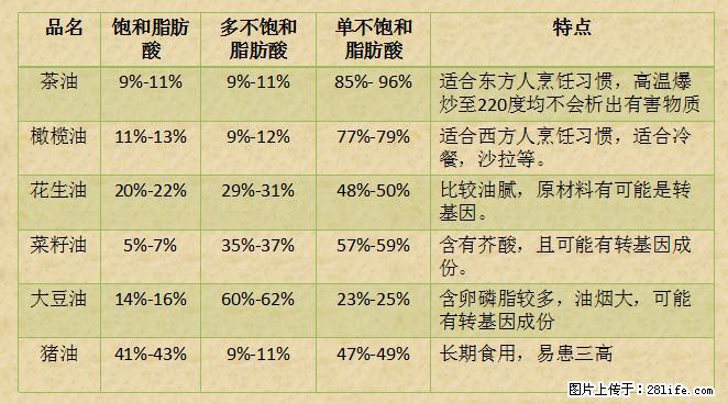 揭秘茶油的5大核心营养成分！被称为人体健康的“守护盾”！ - 天津生活资讯 - 天津28生活网 tj.28life.net