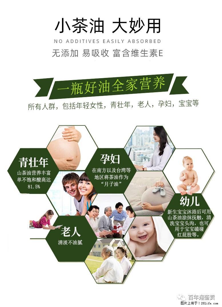 世界没有真相，只有认知，最好的食用油是中国的山茶油！ - 天津生活资讯 - 天津28生活网 tj.28life.net