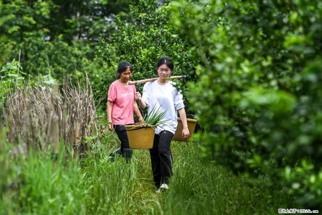 全网追的“扁担女孩”，找了一份暑假工，时薪12元 - 天津生活资讯 - 天津28生活网 tj.28life.net