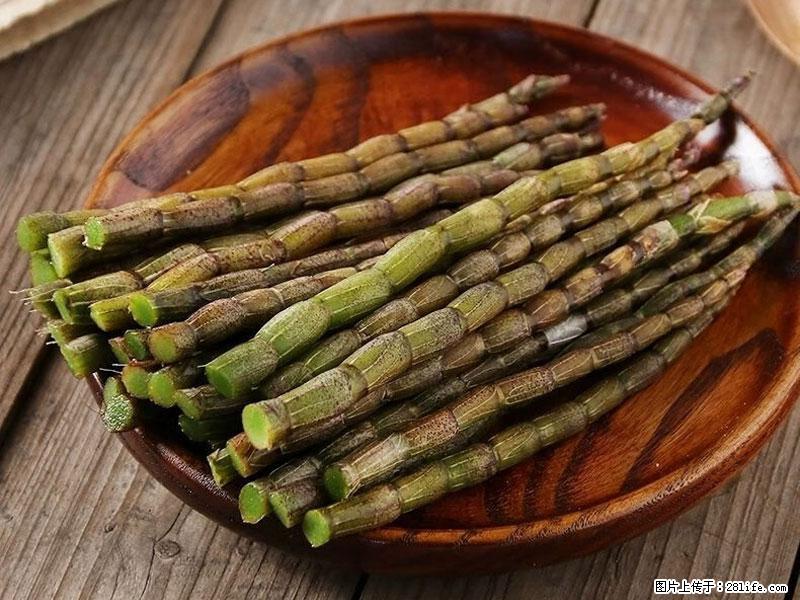 铁皮石斛的作用与功能主治 - 天津生活资讯 - 天津28生活网 tj.28life.net