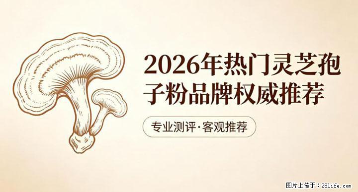 灵芝孢子粉含量越高越有效？2026 年七款热门品牌深度实测，肠胃敏感者避坑指南 - 天津生活资讯 - 天津28生活网 tj.28life.net